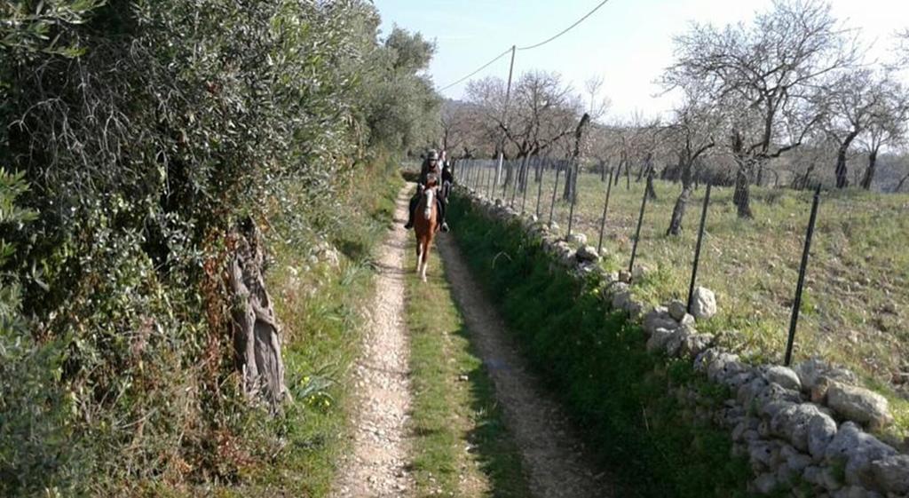 Agriturismo Vita E Natura Villa Noto Exterior foto